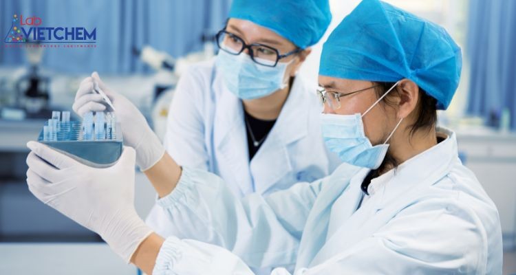 kiểm tra chất lượng