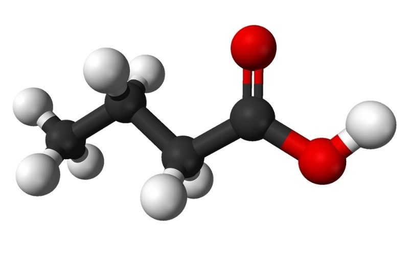 axit butyric
