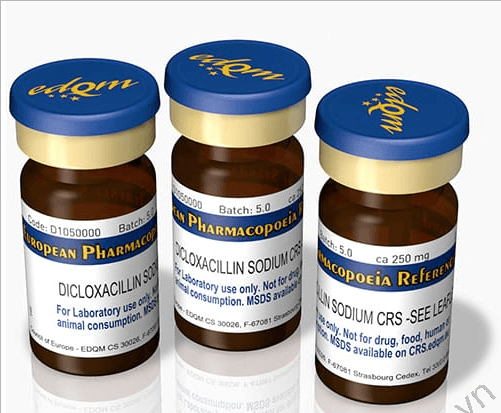 TIÊU CHUẨN DƯỢC ĐỘNG HỌC CHÂU ÂU