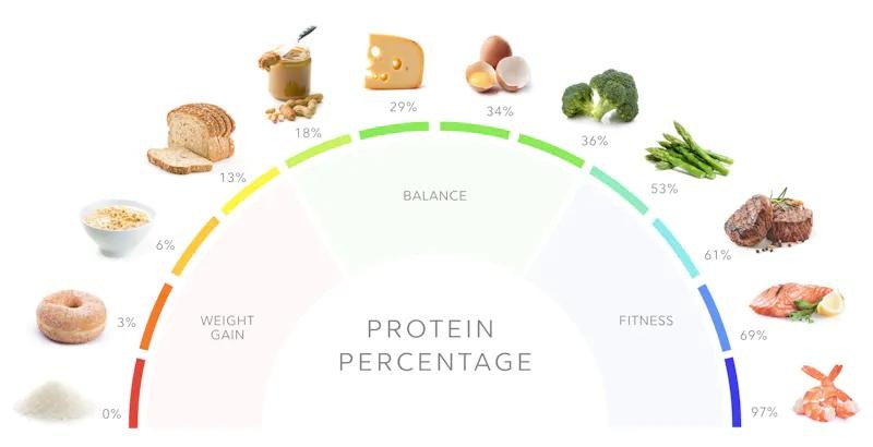 protein có trong thành phần thực phẩm