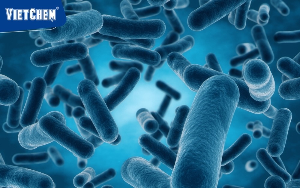 clostridium-butyricum