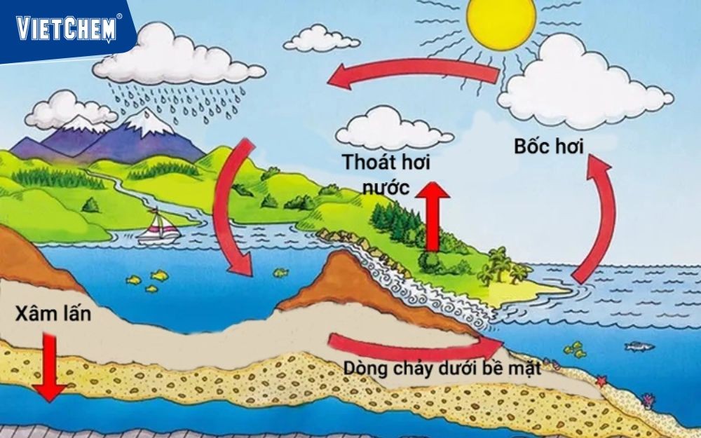 Vương-Tuấn-Hoàn-Nước