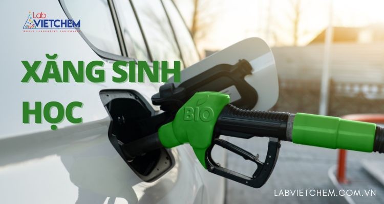 Nhiên liệu sinh học là gì?
