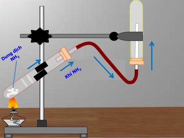 Sơ đồ thu giữ khí amoniac