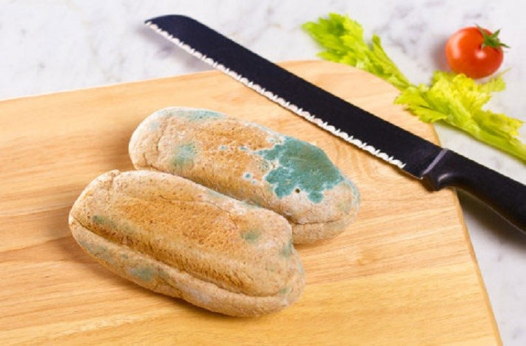 Thực phẩm bị mốc còn chứa hóa chất gây ung thư