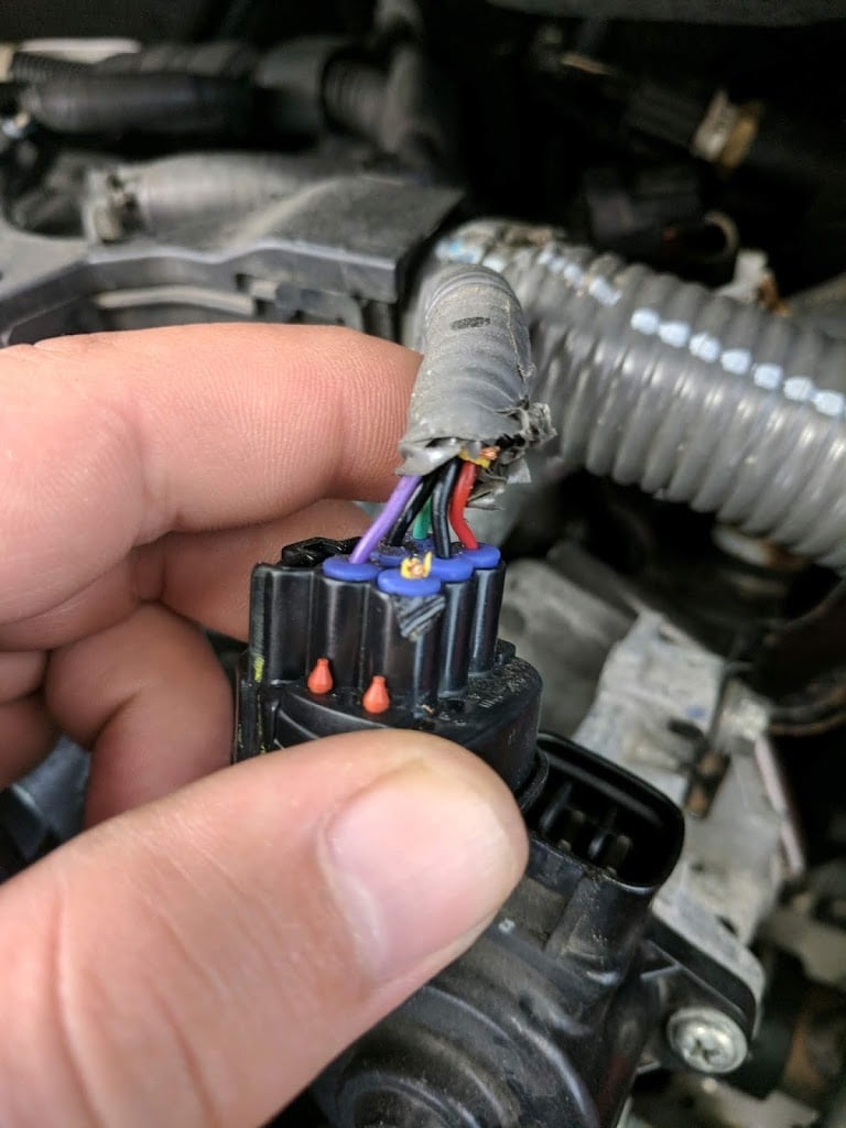 Cách ngăn chặn chuột gặm dây điện hiệu quả và dễ dàng Chuột có thể mở được màn hình 2