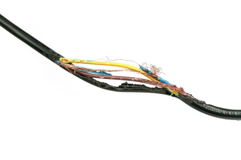 Cách ngăn chặn chuột gặm dây điện hiệu quả và dễ dàng chuột máy tính 4