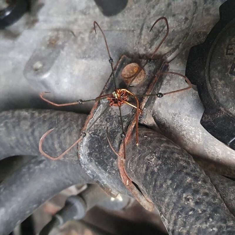 Cách ngăn chặn chuột gặm dây điện hiệu quả và dễ dàng Cách đổi chuột sang máy tính