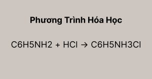 c6h5nh2-hcl-c6h5nh3cl