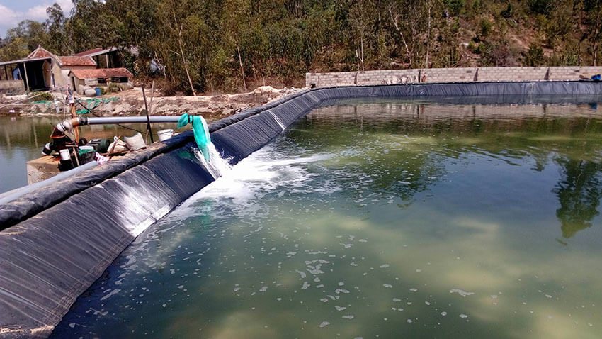 Hóa chất xử lý nước thải ngành thủy sản