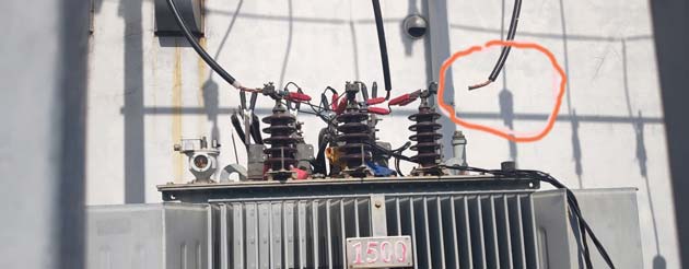 Mất đường trung tính là gì? Nguyên nhân và cách khắc phục Ngày trung lập thứ 3 là gì