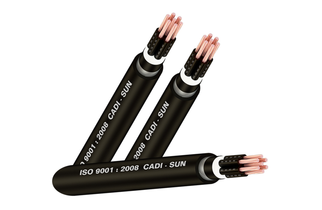 Đường CVV là gì? Cấu trúc, tiêu chuẩn và ứng dụng CVV Kaidishun Bistro