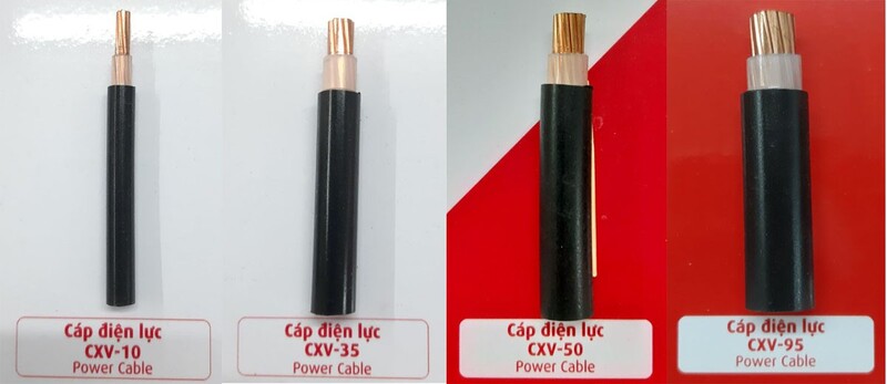 Dây nguồn CXV là gì? Cấu tạo, ứng dụng và so sánh với dây CVV Cách phân loại các loại diode CXV