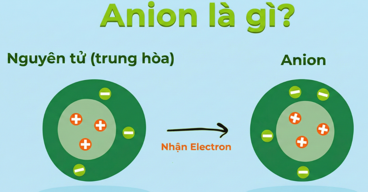 anion-la-gi