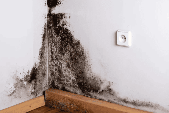 Cách xử lý nhanh khi adapter nhảy vào ban đêm donung angelodin