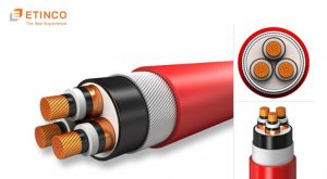 Cáp ngầm trung thế là gì ? Đặc điểm, cấu tạo và tiêu chuẩn
