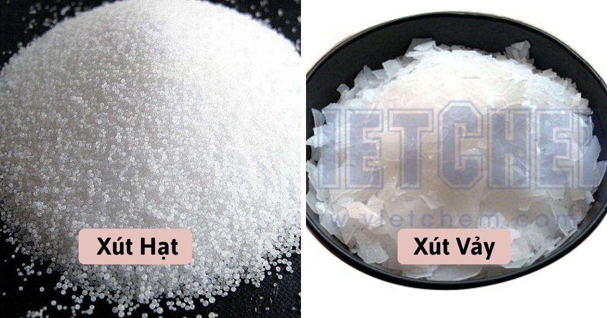 so-sanh-hinh-dang-sut-hat-and-sut-mượn