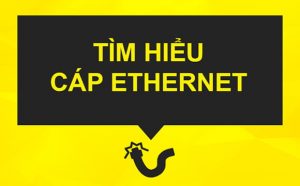 Tìm hiểu về cáp ETHERNET